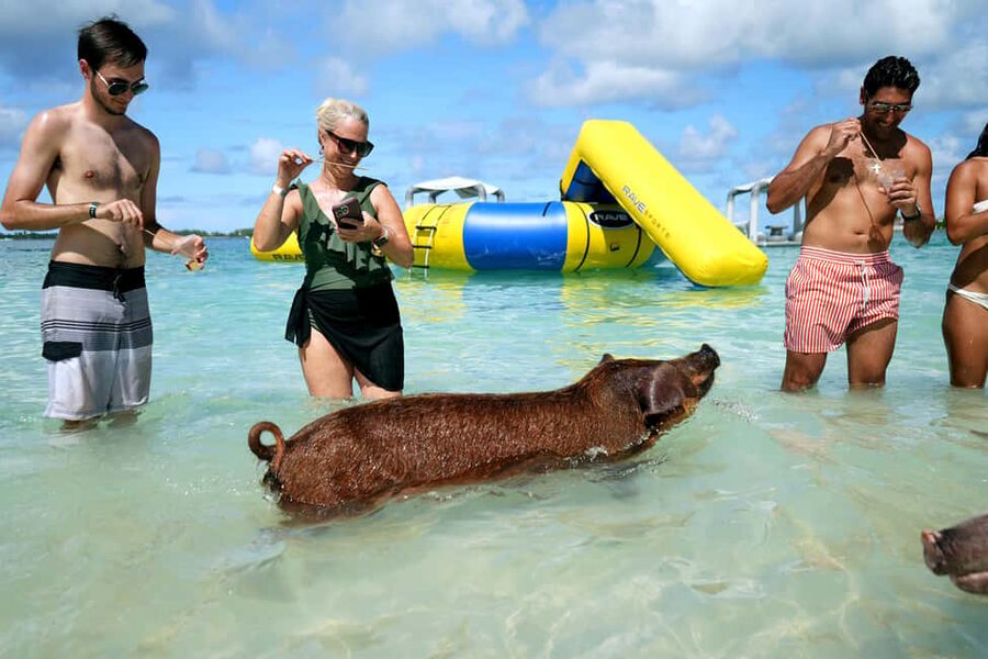 Nassau: Swimming Pigs, Snorkeling, Lunch, & Beach Boat Tour - A private beach with room to choose your own pace