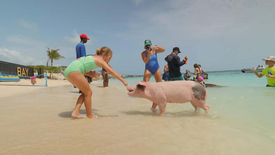 Nassau: Swimming Pigs, Snorkeling, Lunch, & Beach Boat Tour - Snorkeling over a Bahamian reef