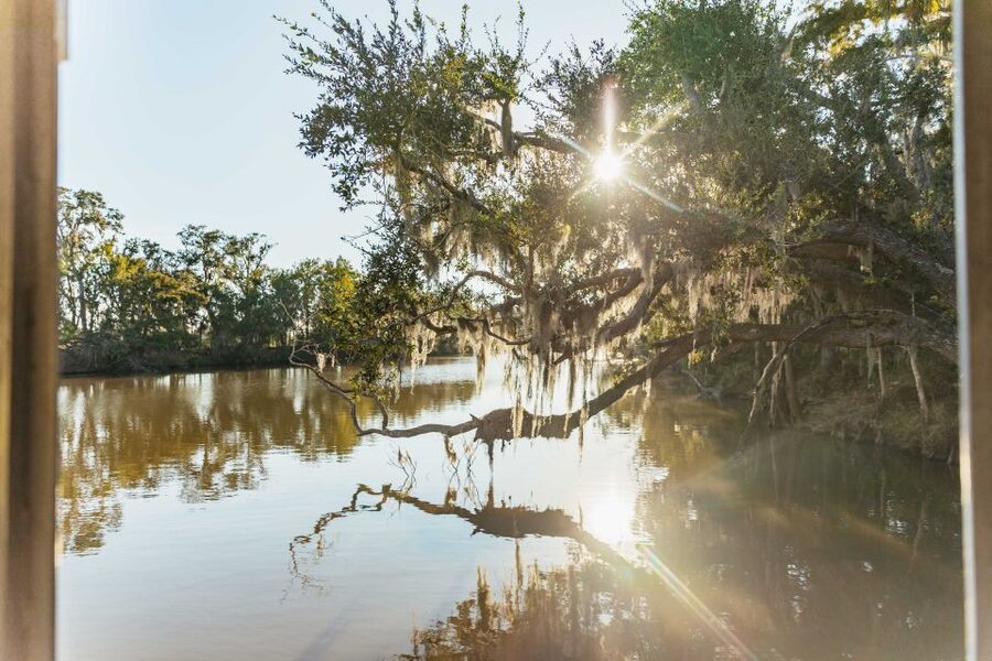 New Orleans: Guided Swamp Cruise by Tour Boat - A 100-minute route through old waterways