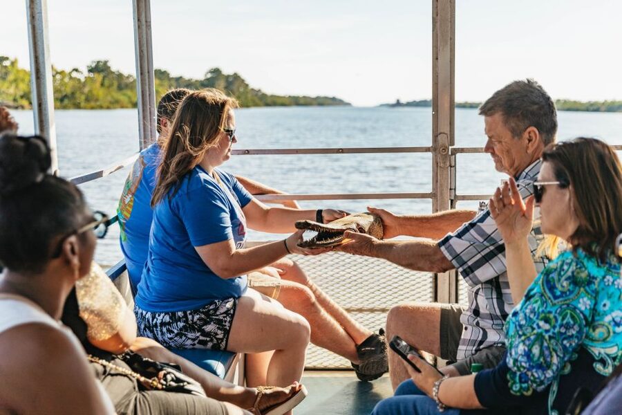 New Orleans: Guided Swamp Cruise by Tour Boat - Is the $35 price good value?