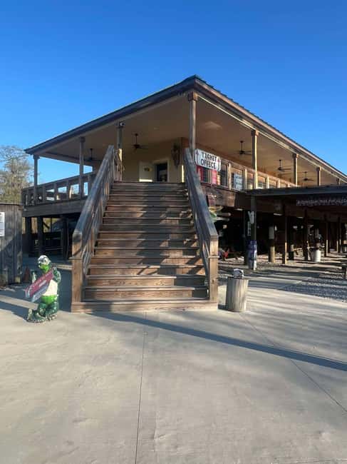 New Orleans Manchac Bayou Swamp Cruise W/ Optional Pick-Up - Alligators, baby animals, and responsible expectations