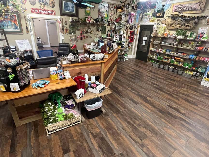 New Orleans Manchac Bayou Swamp Cruise W/ Optional Pick-Up - What the Oak Alley stop means