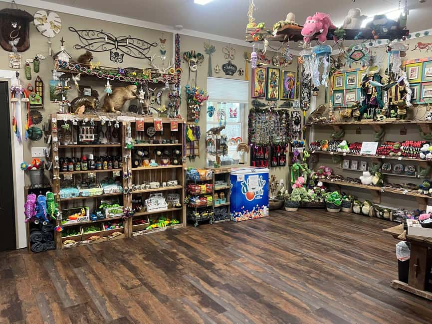 New Orleans Manchac Bayou Swamp Cruise W/ Optional Pick-Up - Should you book the Manchac Bayou cruise?