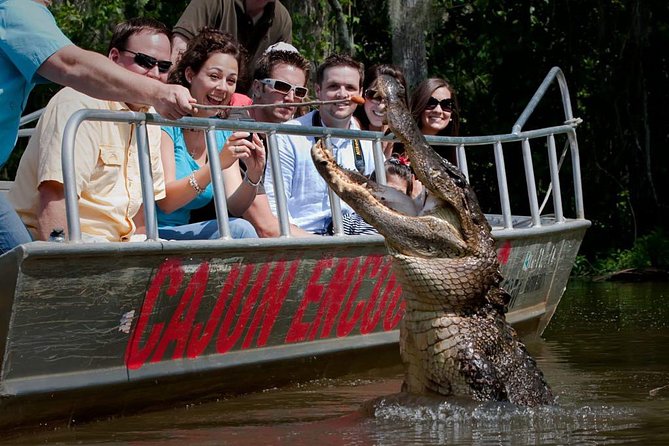 New Orleans Swamp and Bayou Boat Tour with Transportation - From the French Quarter to Honey Island Swamp