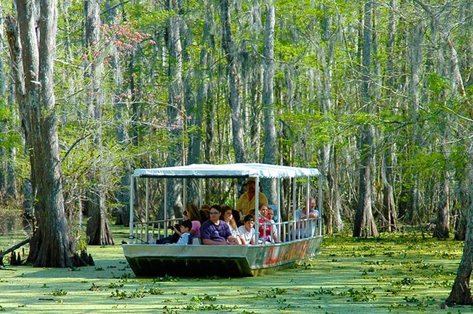 New Orleans Swamp and Bayou Boat Tour with Transportation - The guides shape the entire outing