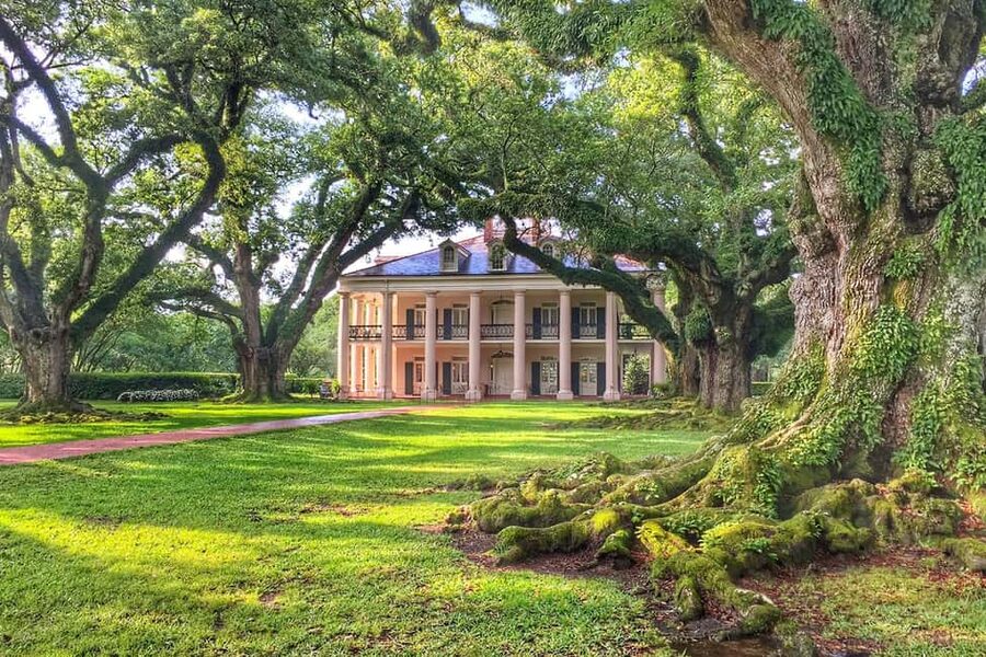 New Orleans: Swamp Boat Ride & Oak Alley Plantation Tour - Key points to know before booking