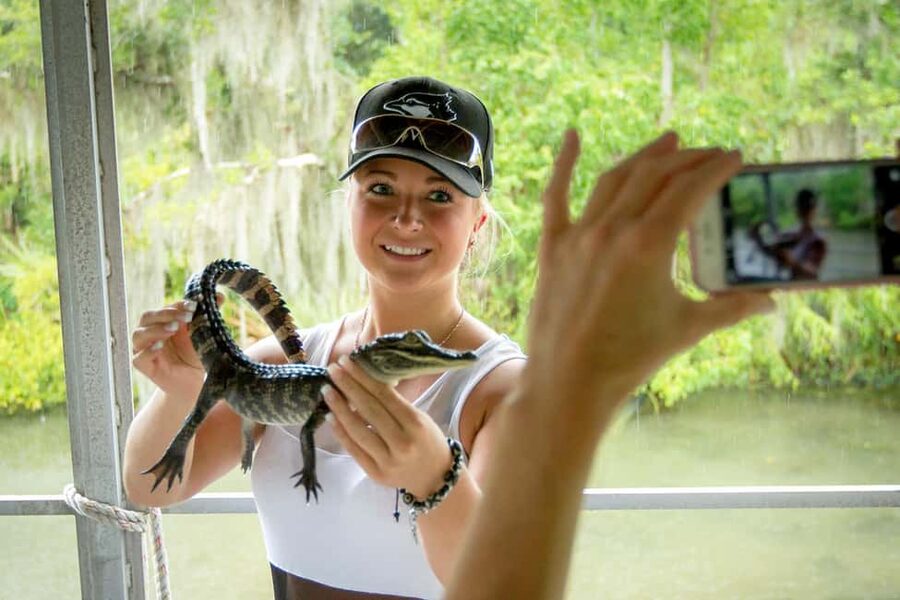 New Orleans: Swamp Boat Ride & Oak Alley Plantation Tour - From the French Quarter to Oak Alley’s ancient trees