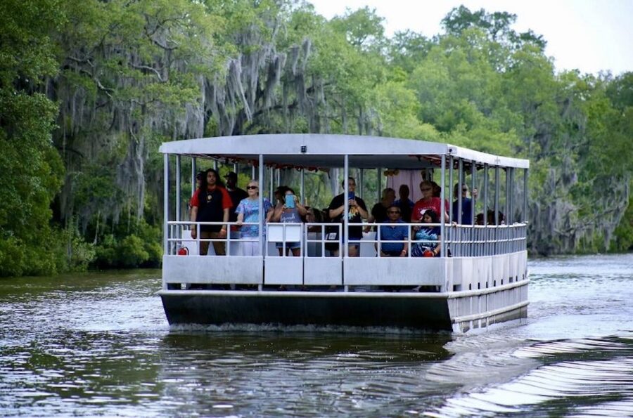 New Orleans: Swamp Tour on Covered Pontoon Boat - Key points to know before you go
