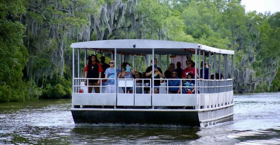 New Orleans: Swamp Tour on Covered Pontoon Boat - A quiet route into Louisiana’s bayou country