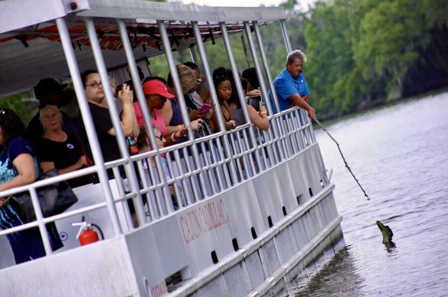 New Orleans: Swamp Tour on Covered Pontoon Boat - Families, mobility, and the practical details