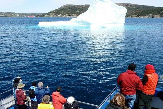 Newfoundland Puffin and Whale Watch Cruise - Stop 1: Boarding Gatherall’s catamaran