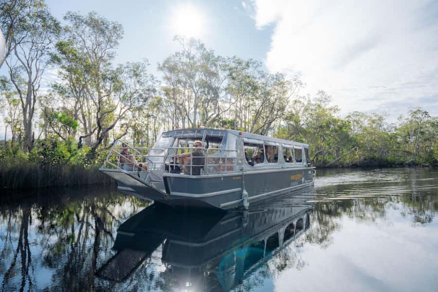 Noosa: Afternoon Cruise through the Noosa Everglades - The cruise: reflections, birds, and local stories