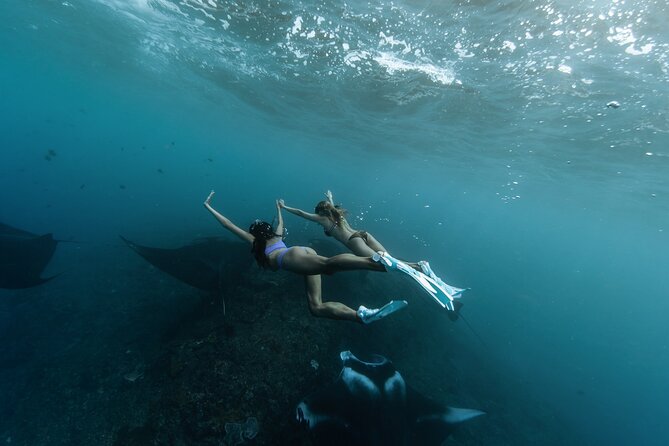 ️Nusa Penida by Private Boat - Snorkeling 4 spots, Swim with Mantas + Land Tour - The day at a glance