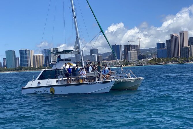 Oahu Catamaran Snorkel Tour: See Turtles 100% Guaranteed - Why the small boat size matters