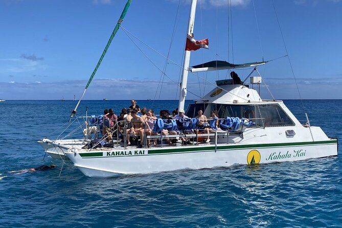 Oahu Catamaran Snorkel Tour: See Turtles 100% Guaranteed - Price and what you receive for $49.95