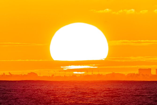 Oahu's Waikiki Coast: Moana’s Sunset Cocktail Sail - Wildlife chances from November through May