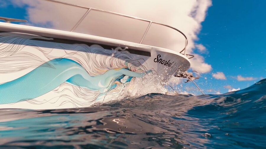 Oahu: Turtle Canyon Snorkeling Boat Tour - Fish, coral, and smaller sea life