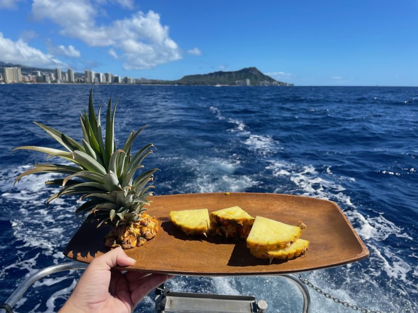 Oahu: Turtle Canyon Snorkeling Boat Tour - How the crew handles beginners and families