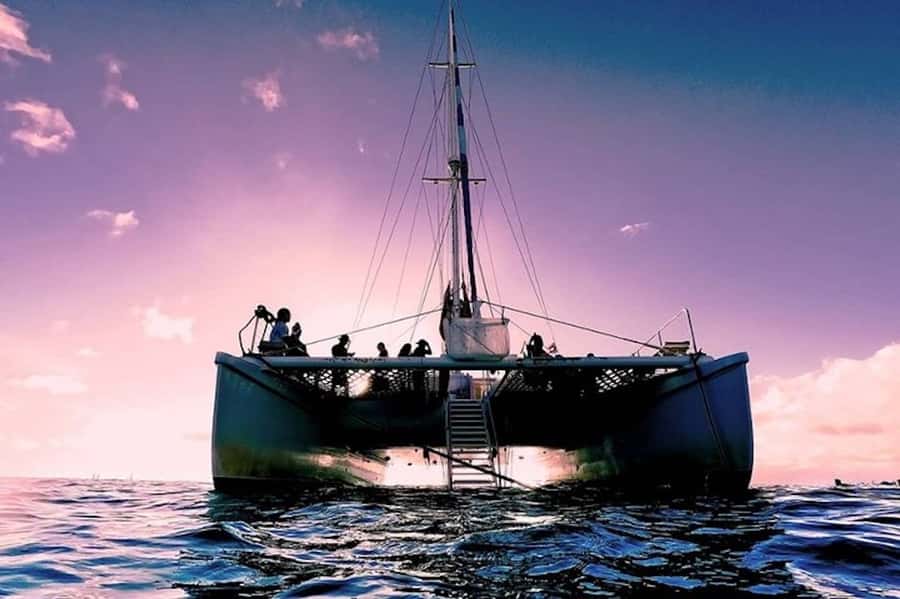 Oahu: Waikiki Sunset Catamaran Sail and Swim - The swim stop before the sun drops