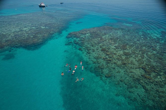 Ocean Freedom Great Barrier Reef Luxury Snorkel and Dive Cruise - Key points to know