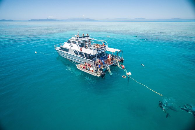Ocean Freedom Great Barrier Reef Luxury Snorkel and Dive Cruise - A fast catamaran ride to the outer reef