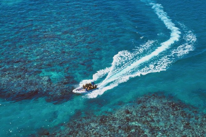 Ocean Freedom Great Barrier Reef Luxury Snorkel and Dive Cruise - Guided snorkeling is the heart of the trip