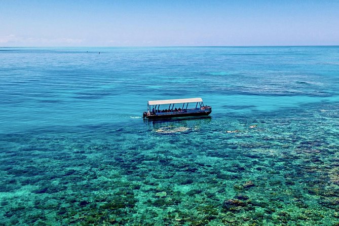 Ocean Freedom Great Barrier Reef Luxury Snorkel and Dive Cruise - Glass-bottom viewing gives your eyes a break