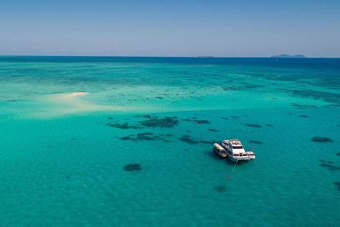 Ocean Freedom Great Barrier Reef Luxury Snorkel and Dive Cruise - Lunch and snacks make the long day easier