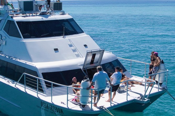 Ocean Freedom Great Barrier Reef Luxury Snorkel and Dive Cruise - Optional scuba for certified and first-time participants