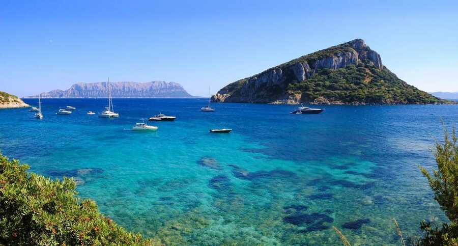 Olbia: Dolphin Watching and Snorkeling Boat Tour - Key points to know before booking