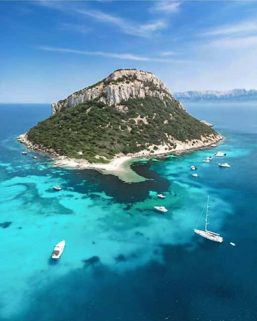 Olbia: Dolphin Watching & Snorkeling Boat Tour near Figarolo - Cliffs, caves, and bird life along the coast