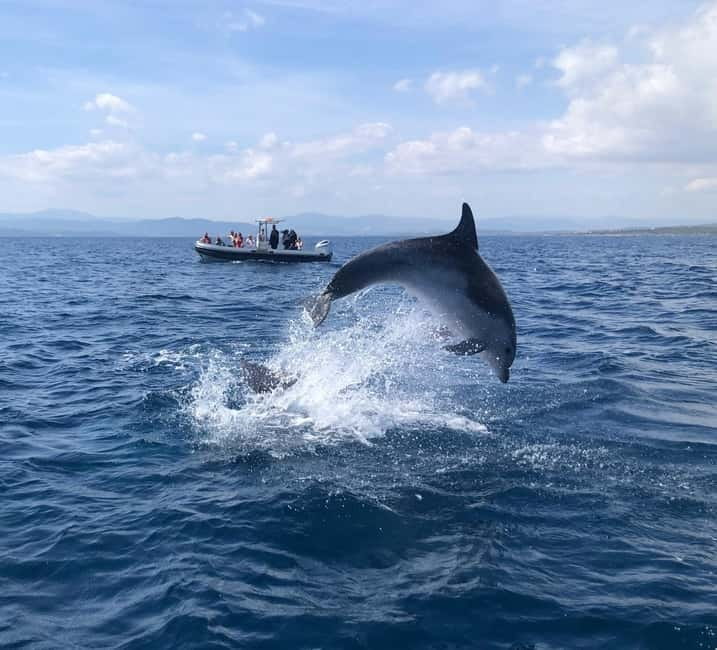 Olbia: Eco-Friendly Dolphin-Watching Boat Trip - Setting Out From Olbia Marina
