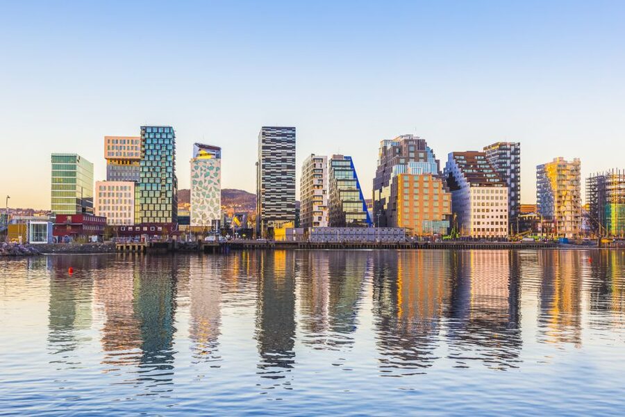 Oslo: Grand City Sightseeing Tour by Bus with Fjord Cruise - Vigeland Sculpture Park and one artist’s strange, powerful world