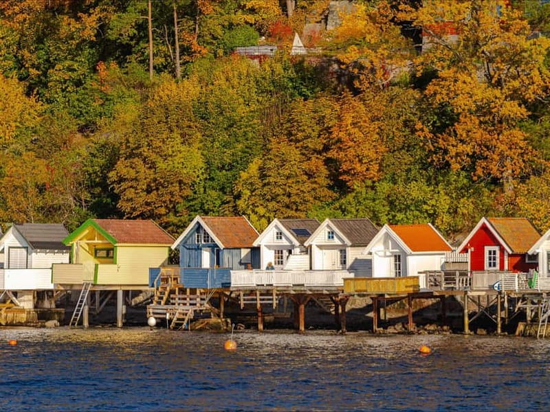 Oslo: Guided Sightseeing Fjord Cruise on Premium Silent Boat - What makes this Oslofjord cruise worth your time