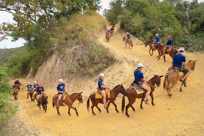 Outdoor Ziplining, Waterfalls & Speed boat in Puerto Vallarta - A mule ride up the forest trails