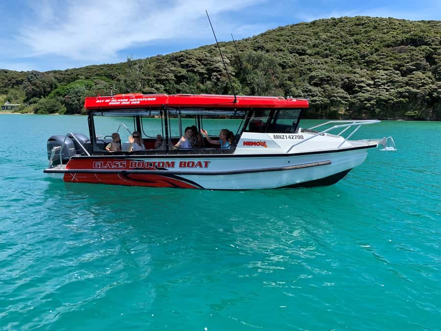 Paihia: Glass Bottom Boat Tour to the Hole in the Rock - A fast, close look at the Bay of Islands