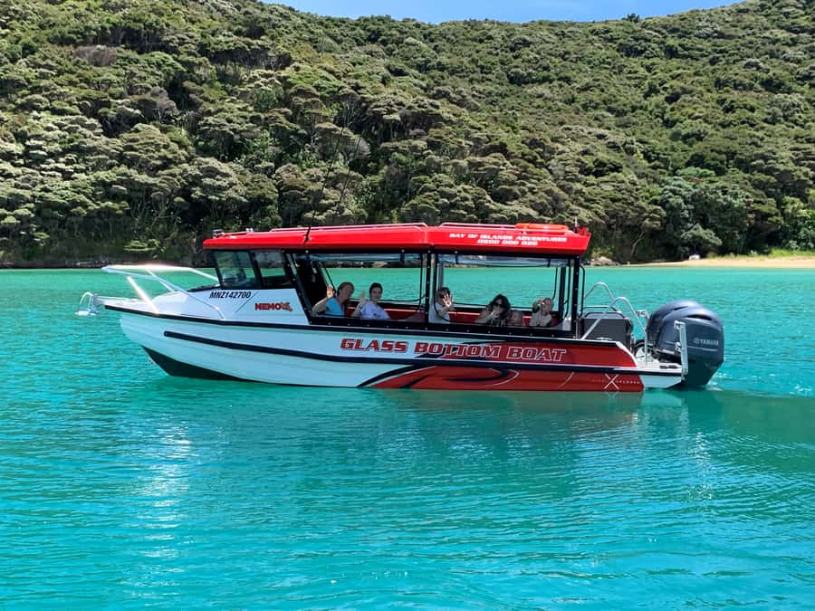Paihia: Glass Bottom Boat Tour to the Hole in the Rock - The Hole in the Rock and Cape Brett
