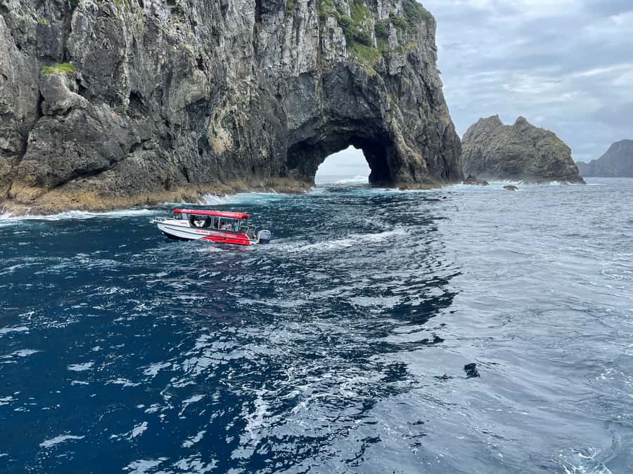 Paihia: Glass Bottom Boat Tour to the Hole in the Rock - Why the small group changes the experience