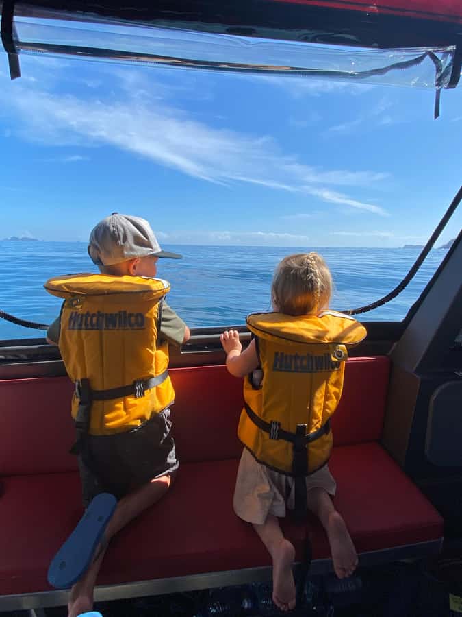 Paihia: Glass Bottom Boat Tour to the Hole in the Rock - Booking advice and final call