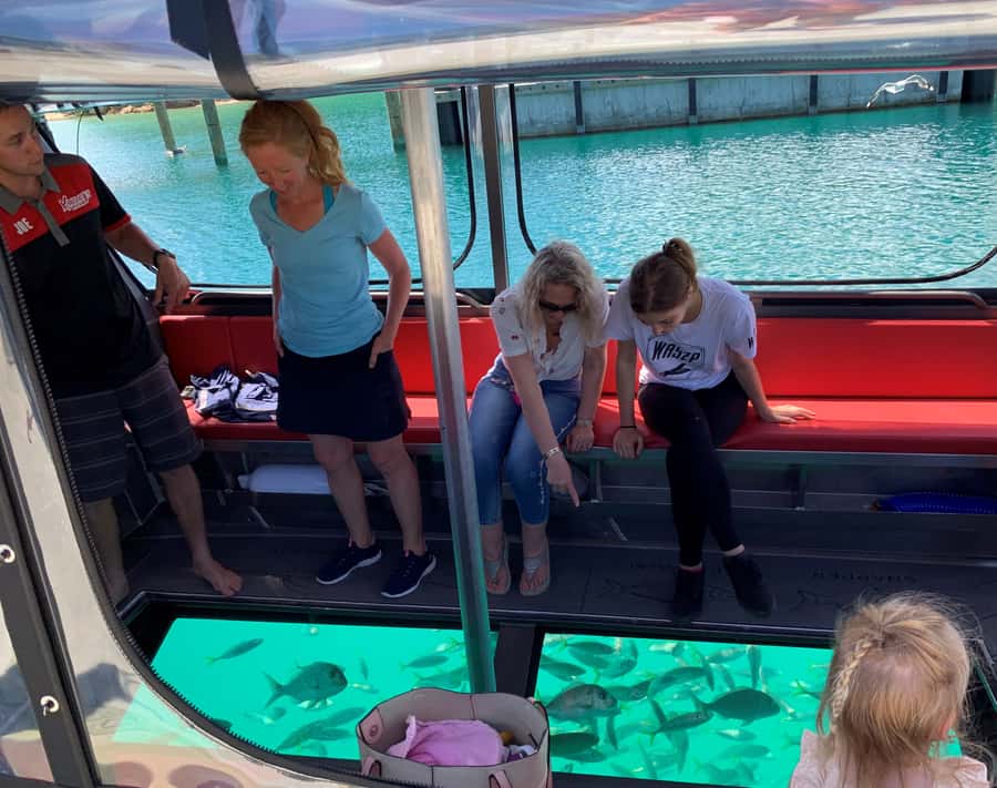Paihia: Glass Bottom Boat Tour to the Hole in the Rock - Beaches, coves, and the Okahu Passage