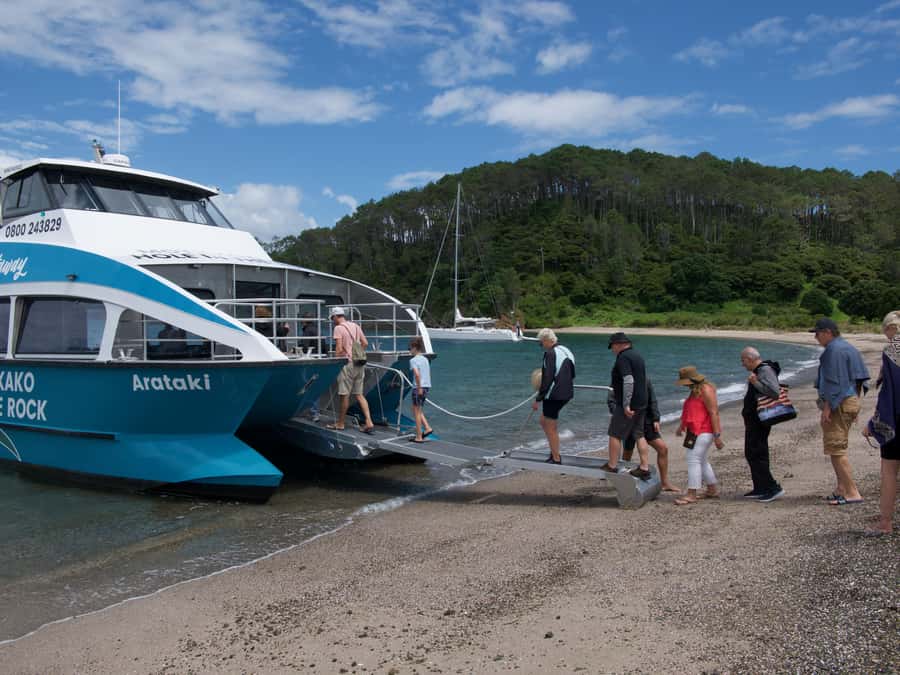 Paihia/Russell: Hole in the Rock Cruise with 2 Island Stops - Key points to know