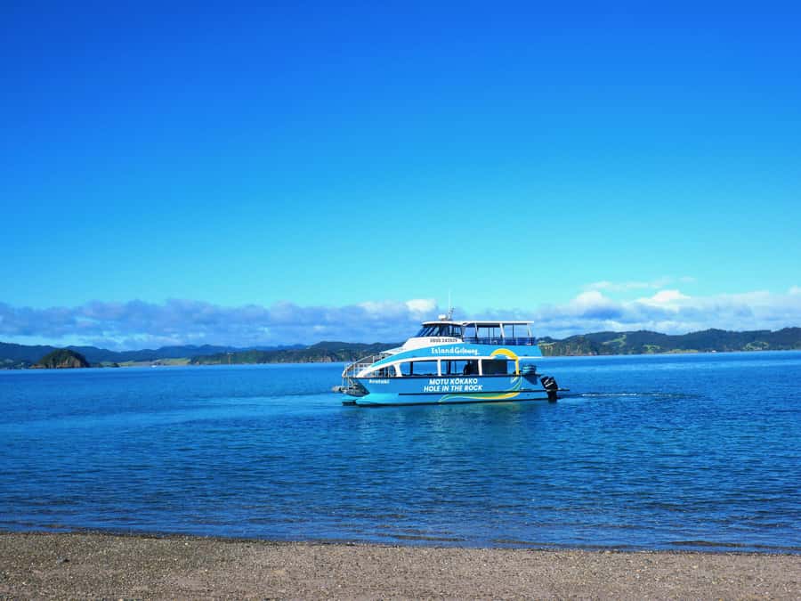 Paihia/Russell: Hole in the Rock Cruise with 2 Island Stops - Cape Brett and the open-water run