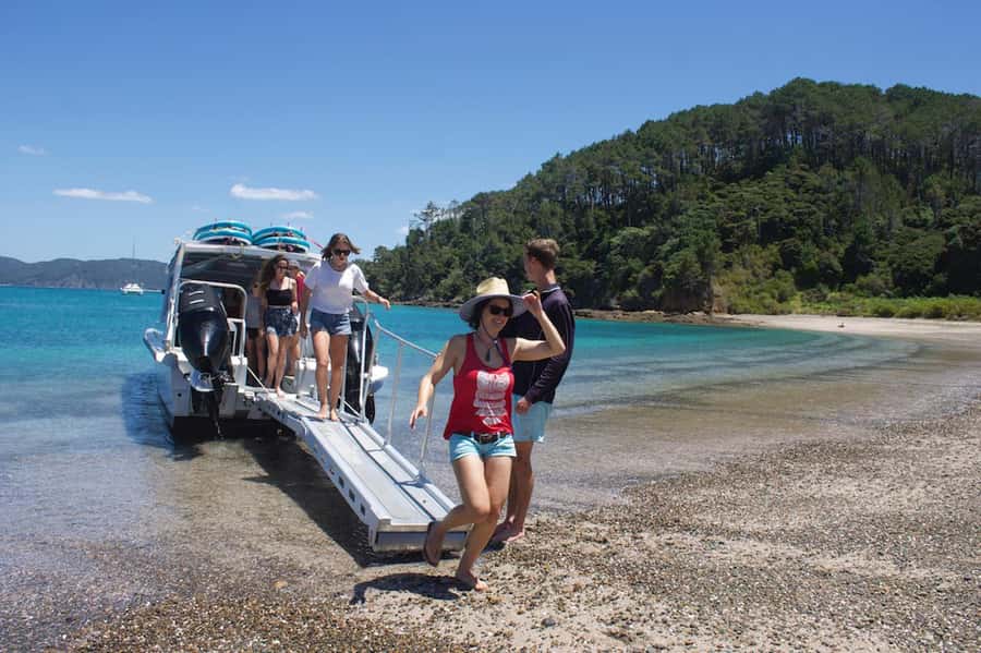 Paihia/Russell: Hole in the Rock Cruise with 2 Island Stops - Piercy Island and marine life