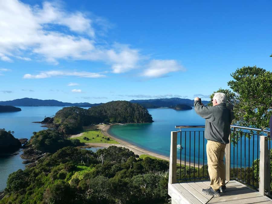 Paihia/Russell: Hole in the Rock Cruise with 2 Island Stops - Commentary, crew, and the small-boat feel