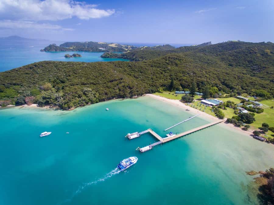Paihia/Russell: Hole in the Rock, Dolphins & Island Cruise - Why this Bay of Islands cruise works so well