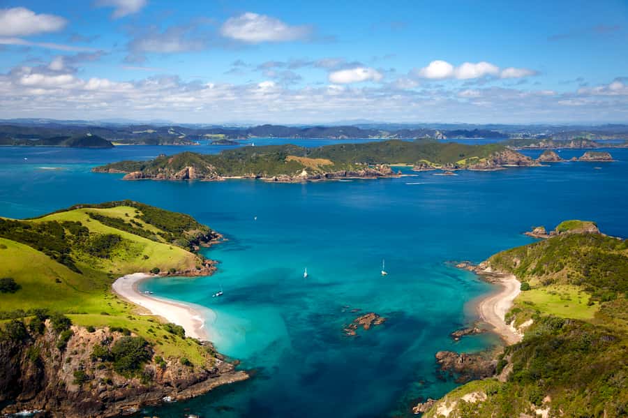 Paihia/Russell: Hole in the Rock, Dolphins & Island Cruise - Is $95 a fair price?
