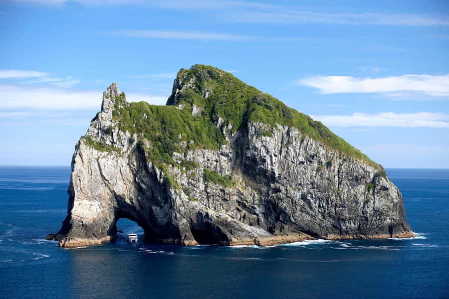 Paihia/Russell: Hole in the Rock, Dolphins & Island Cruise - Setting out from Paihia or Russell