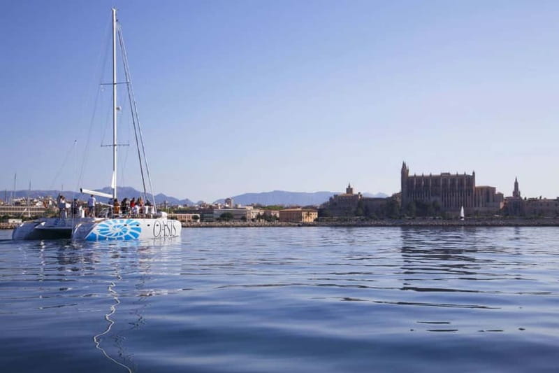 Palma de Mallorca: Deluxe Catamaran Sailing Tour with Meal - The meeting point requires attention