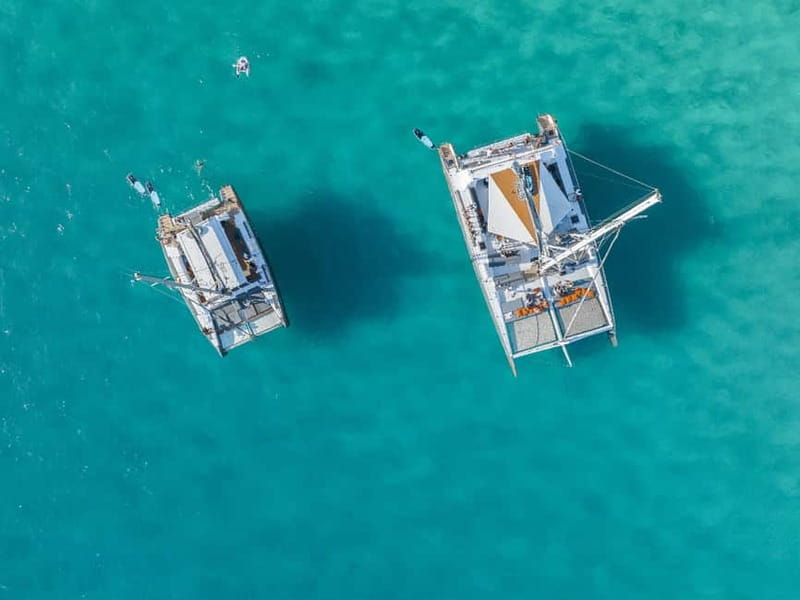 Palma de Mallorca: Half-Day Catamaran Tour with Buffet Meal - At a glance