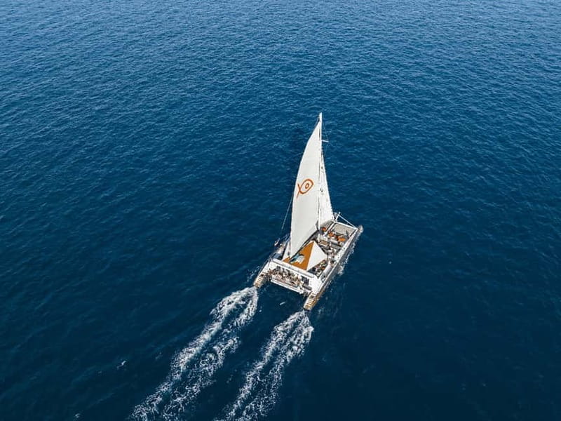 Palma de Mallorca: Half-Day Catamaran Tour with Buffet Meal - A buffet lunch that earns its place